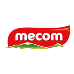 MECOM GROUP